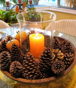 Fall Party Decorating Idea centerpiece with pine cones. 