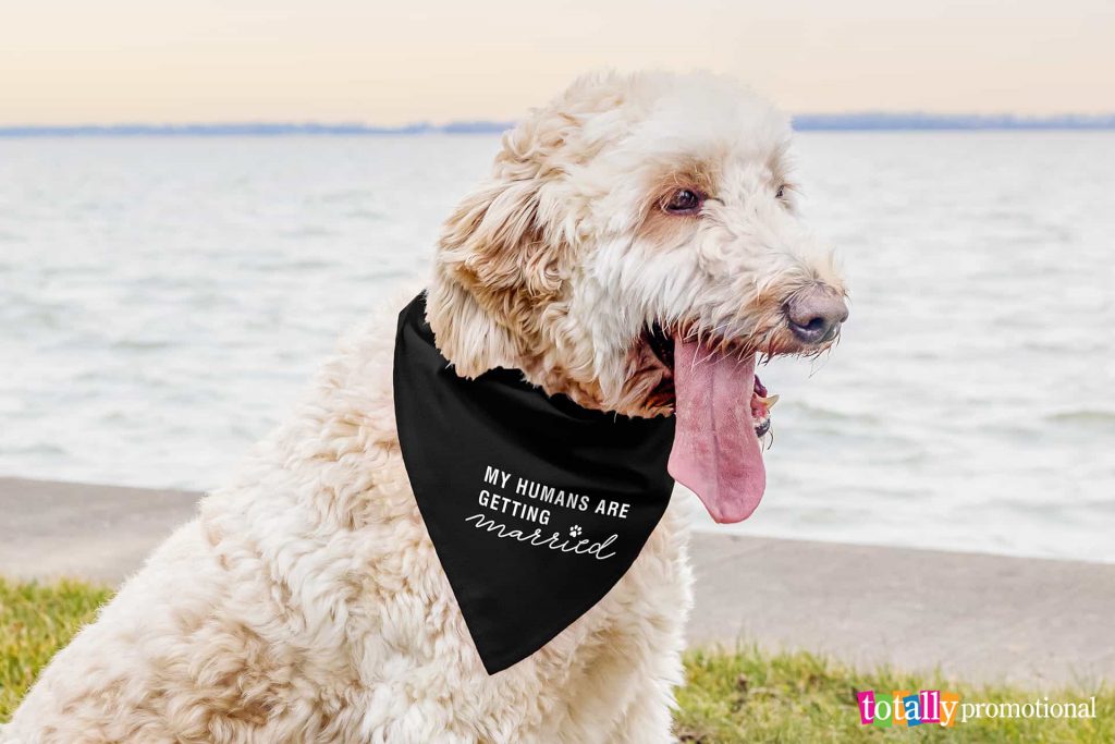 engagement photo with dog and personalized handkerchief
